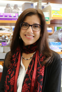<font size="4">Michelle Gill, MD, PhD</font>